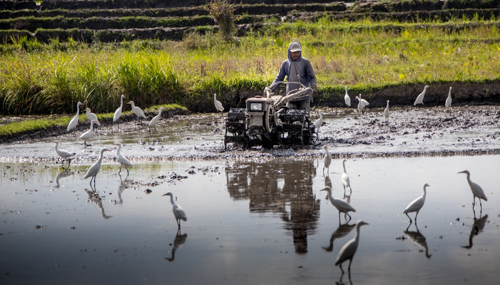 Indonesie - červenec - srpen 2019 - Ladislav Hanousek, Indonésie