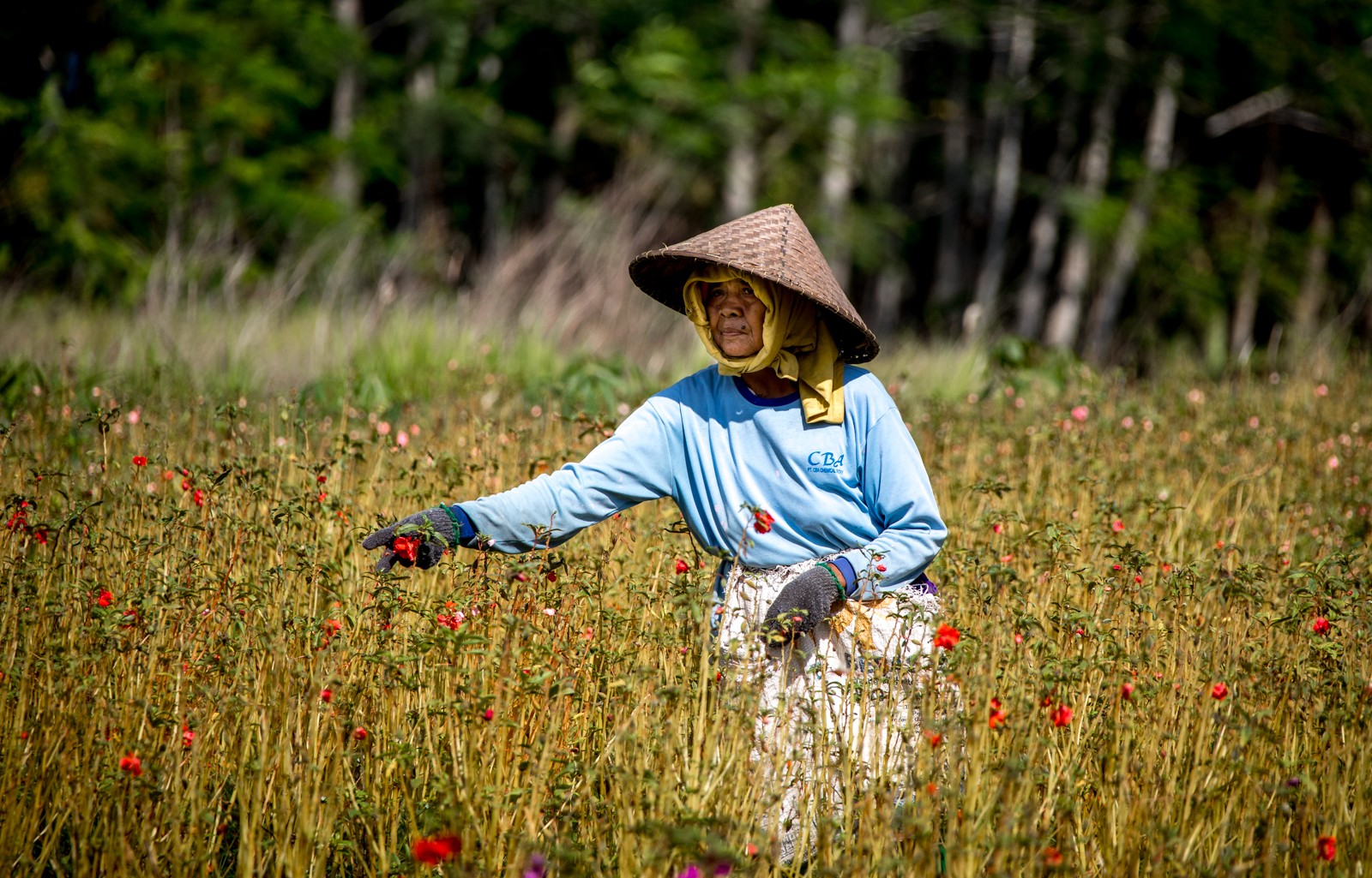 Lidé jsou v Indonésii skromní, pilní a přátelští.. - Ladislav Hanousek, Indonésie