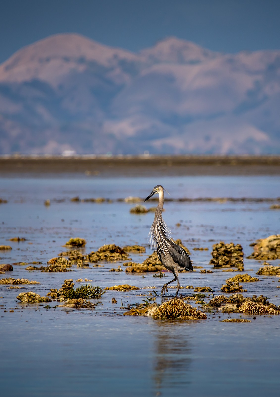 Cesta na ostrov Komodo - Ladislav Hanousek, Indonésie