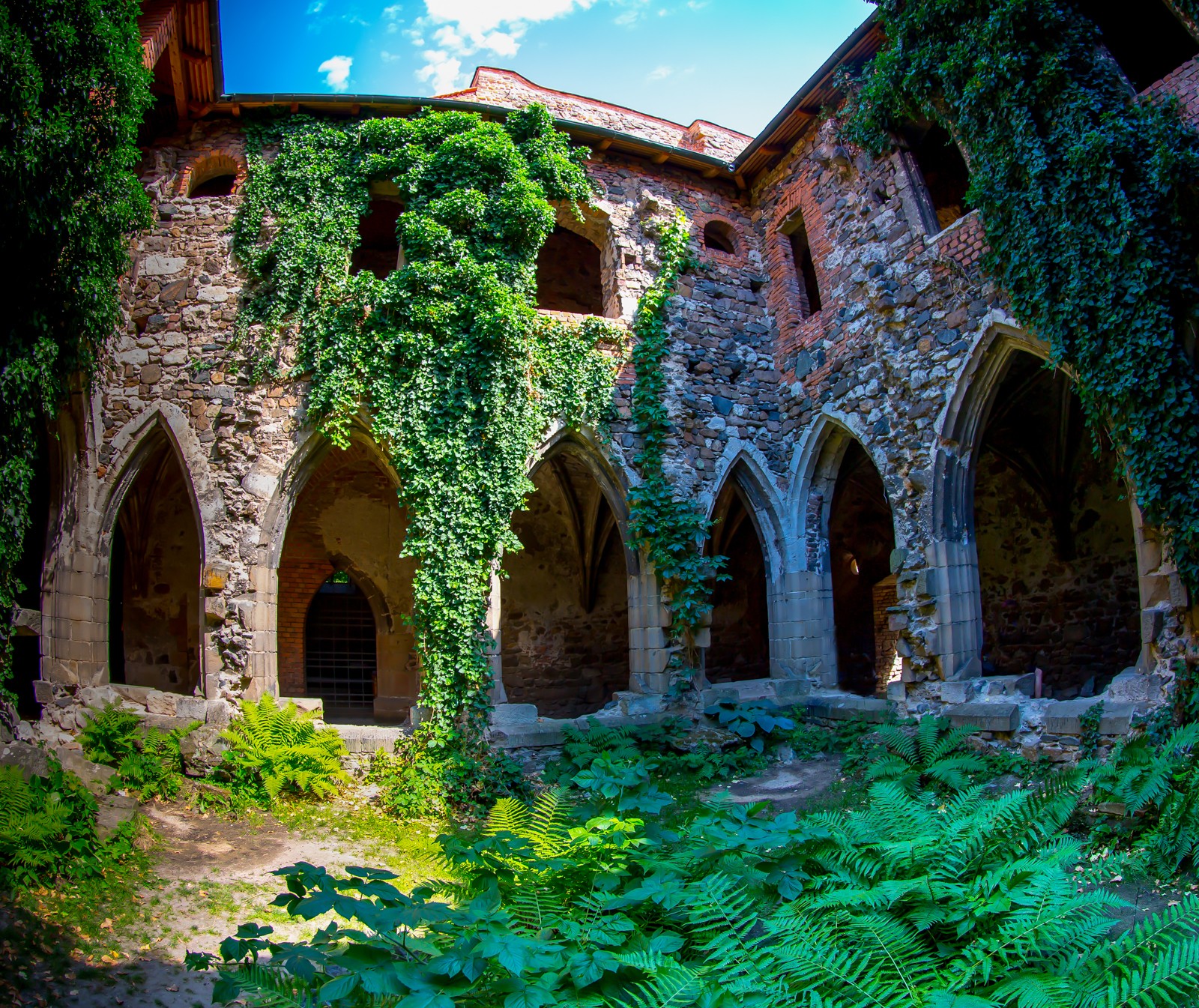 Klášter Rosa Coeli v Dolních Kounicích. Tajemné místo nedaleko od Brna. - Ladislav Hanousek, Ostatní z Čech a Moravy
