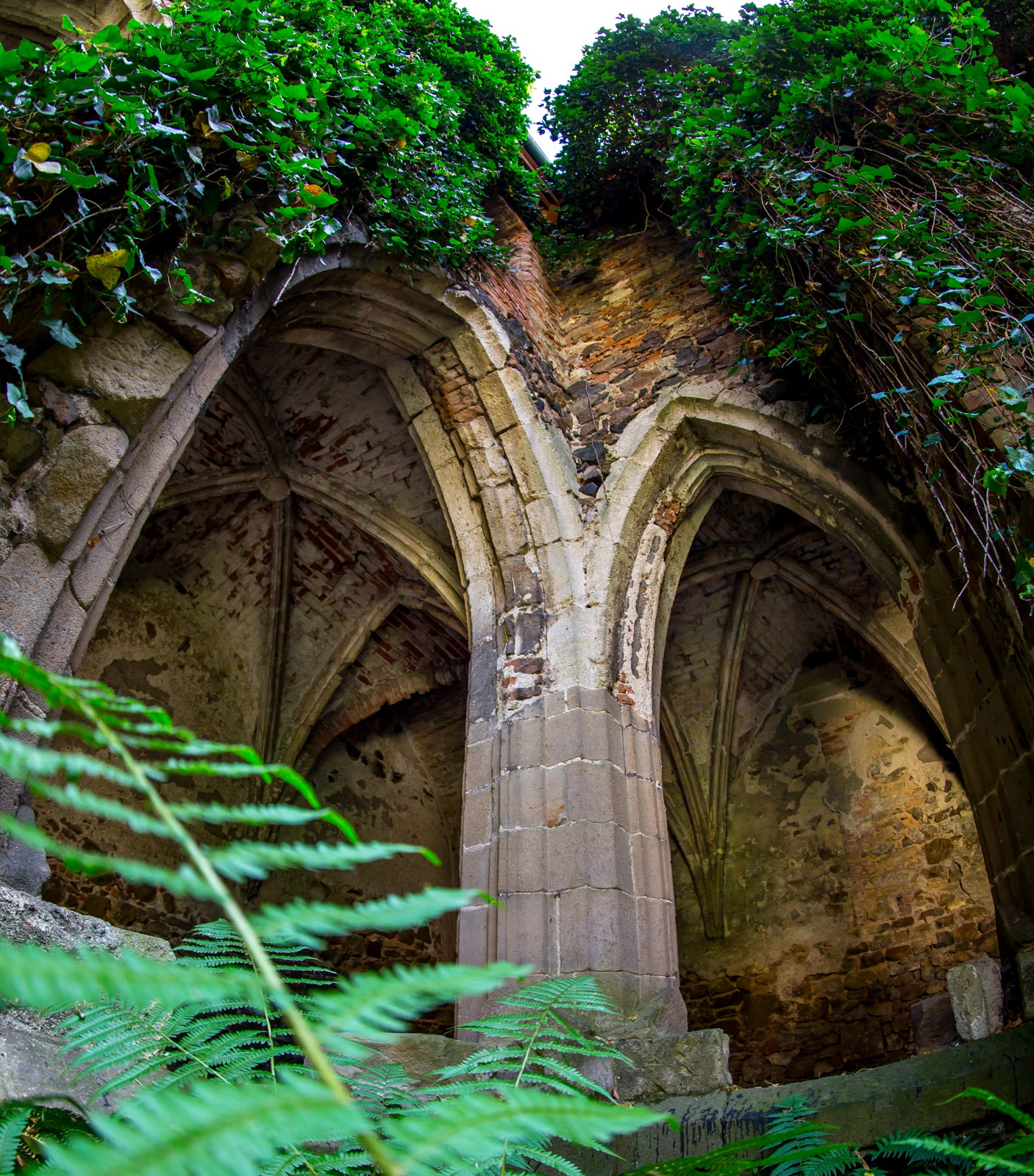 Klášter Rosa Coeli v Dolních Kounicích. Tajemné místo nedaleko od Brna. - Ladislav Hanousek, Ostatní z Čech a Moravy