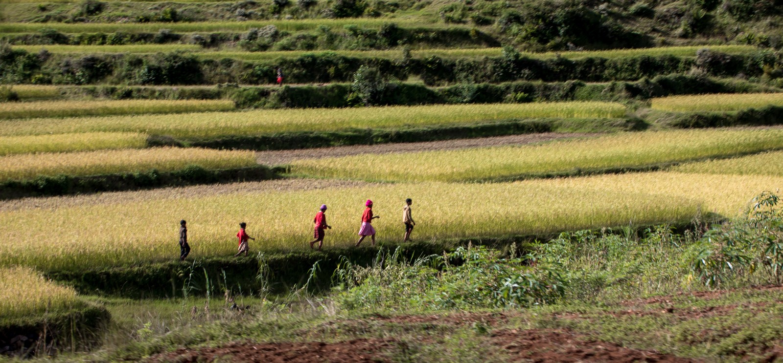  - Ladislav Hanousek, Madagaskar