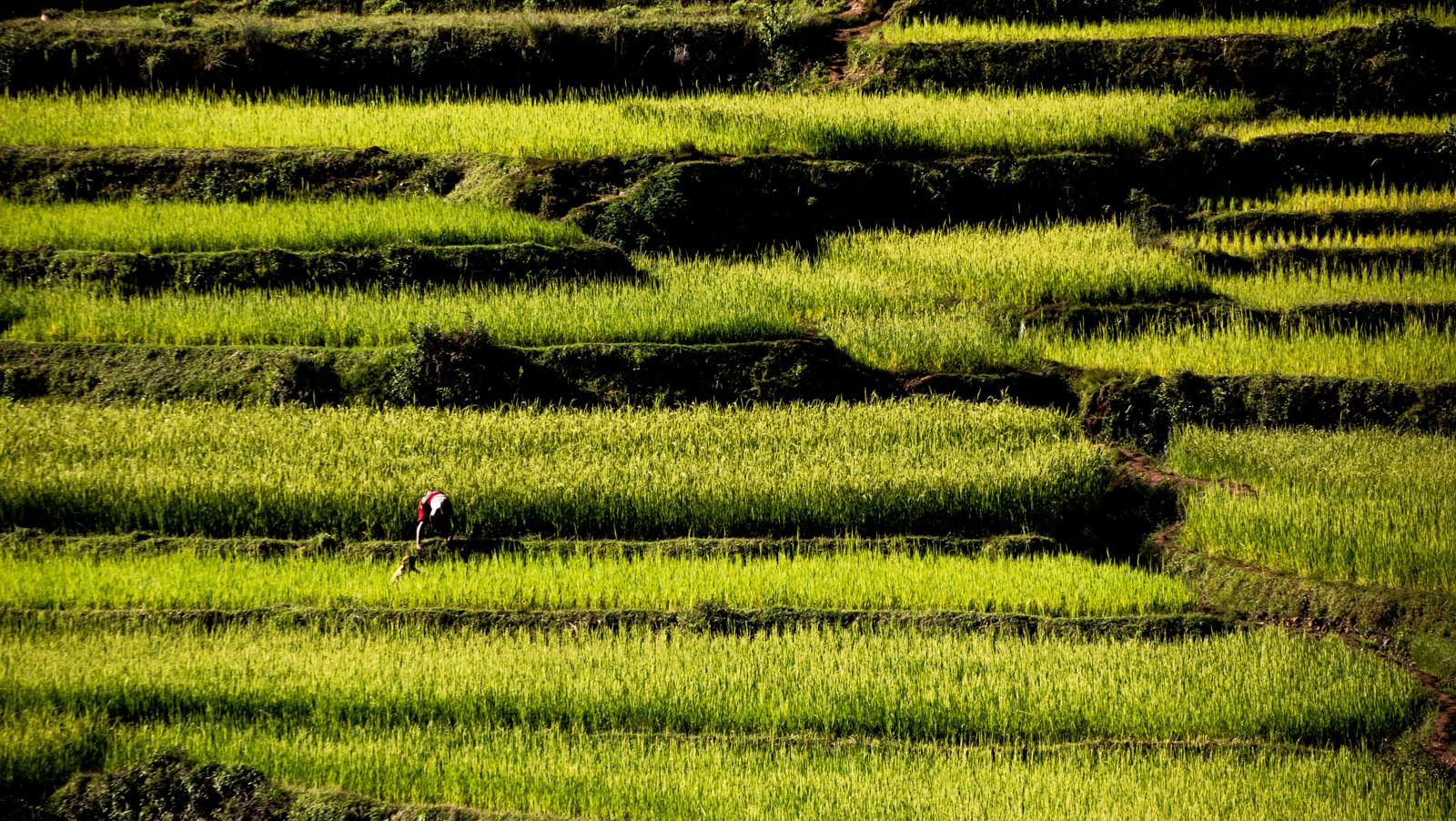  - Ladislav Hanousek, Madagaskar