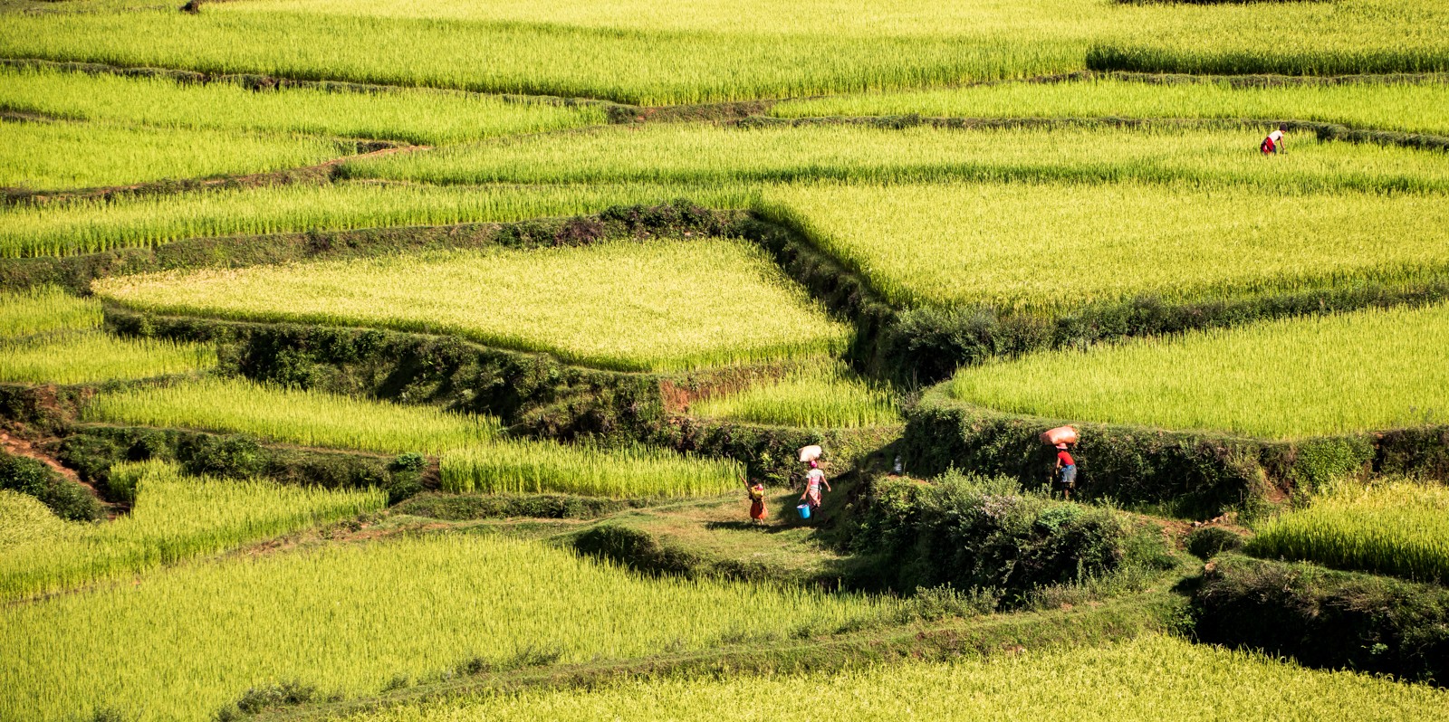  - Ladislav Hanousek, Madagaskar