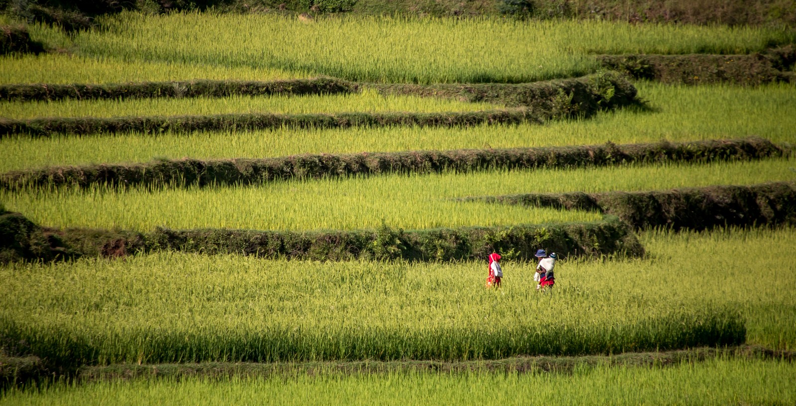  - Ladislav Hanousek, Madagaskar