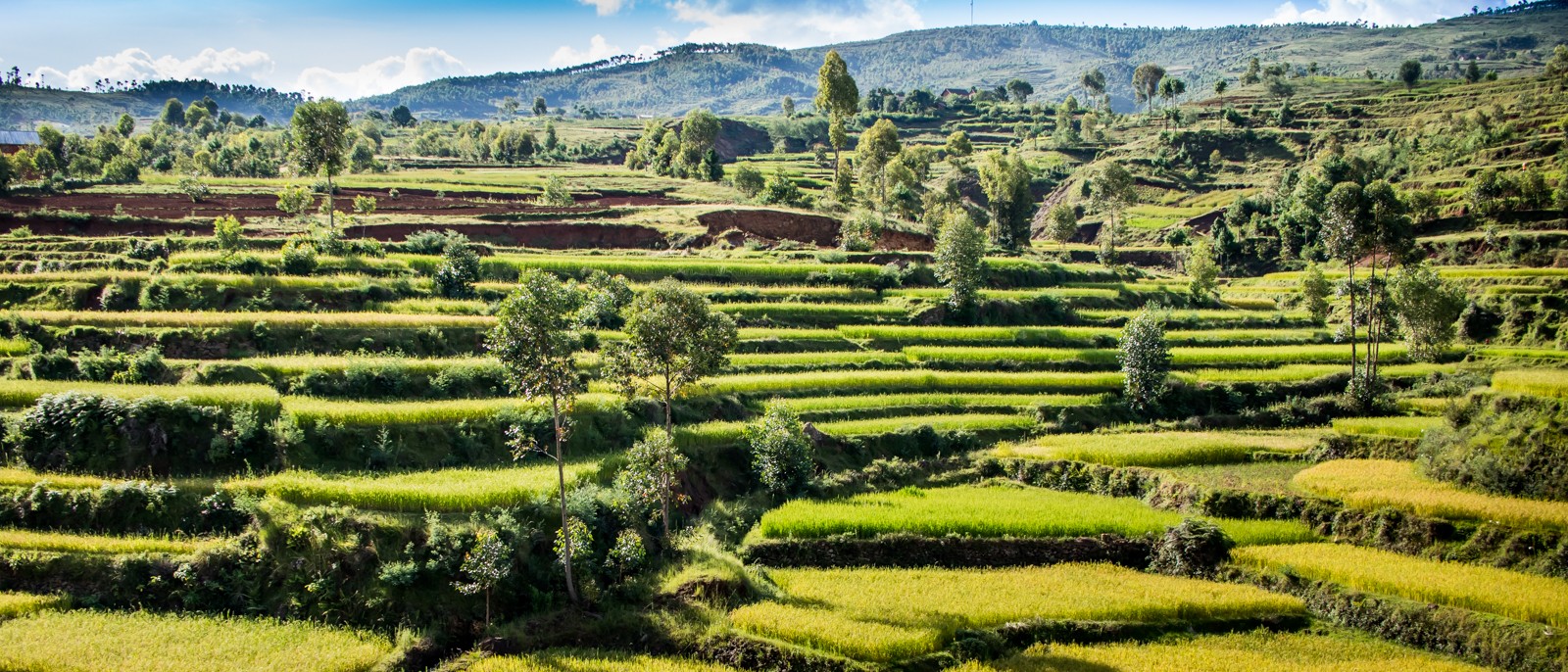  - Ladislav Hanousek, Madagaskar