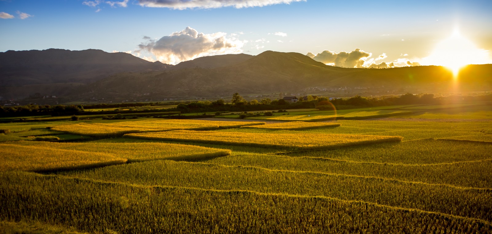  - Ladislav Hanousek, Madagaskar