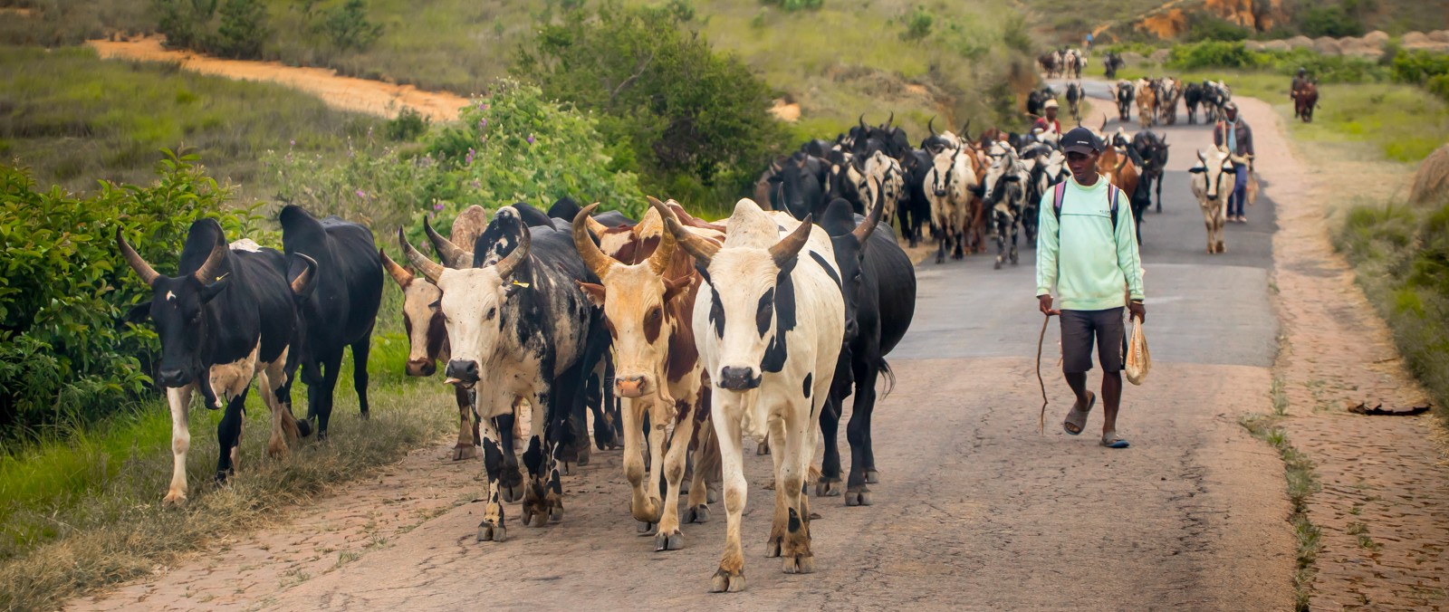  - Ladislav Hanousek, Madagaskar