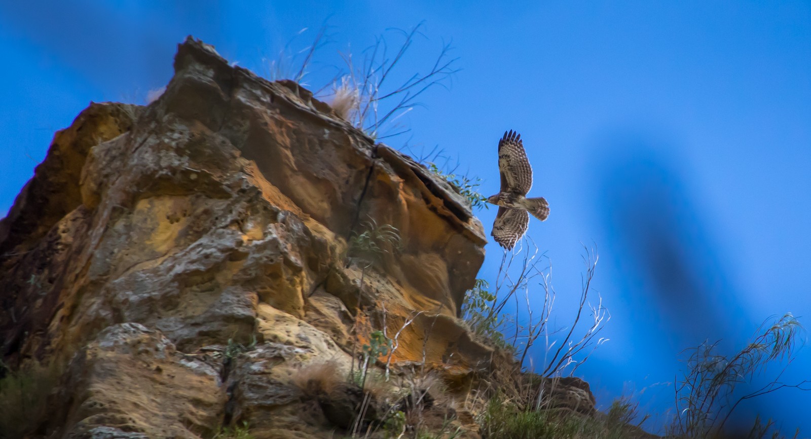  - Ladislav Hanousek, Madagaskar