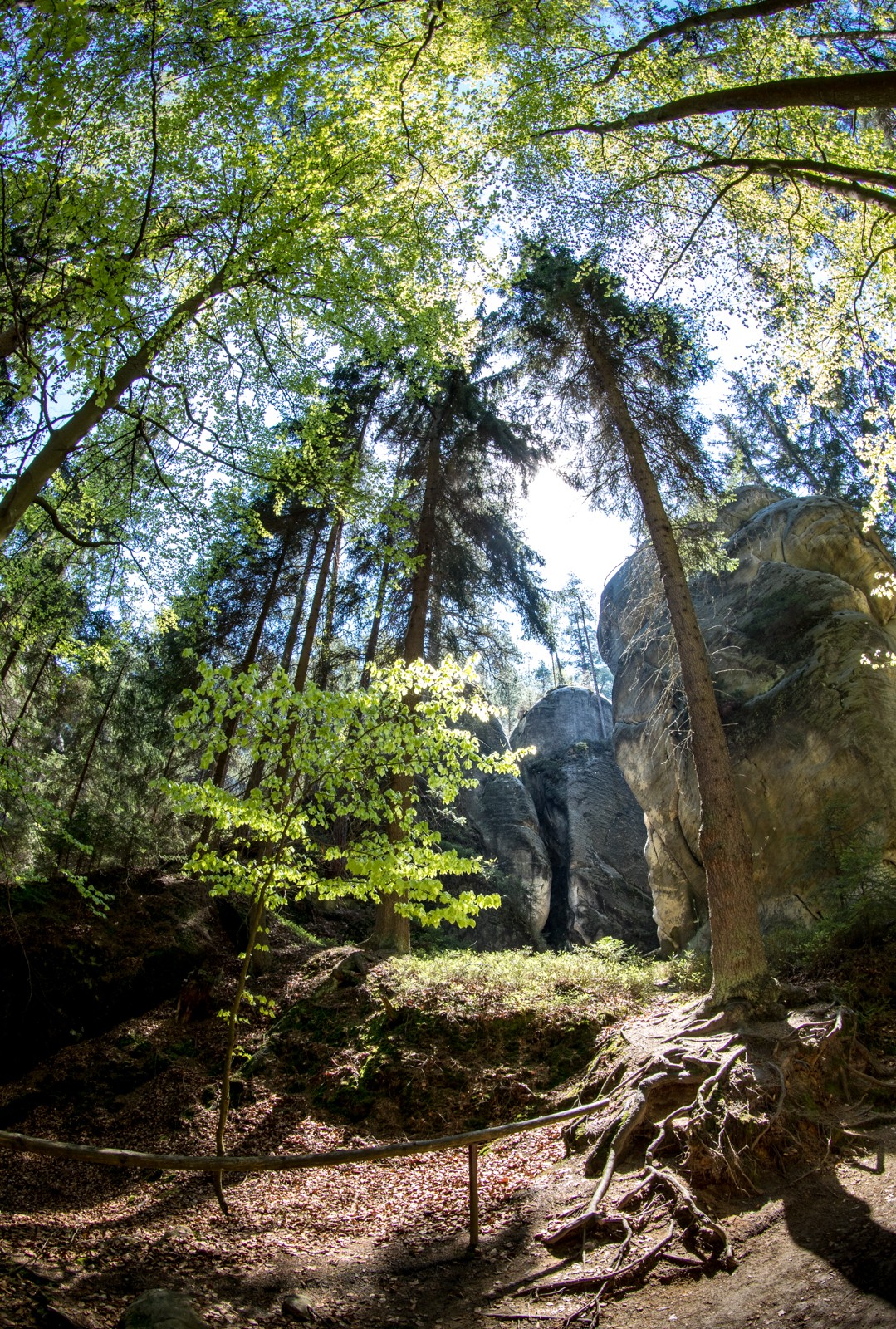  - Ladislav Hanousek, Kamenná krása