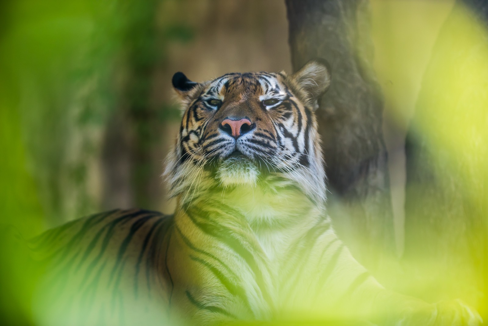 ZOO Jihlava - Ladislav Hanousek, Čechy a Morava