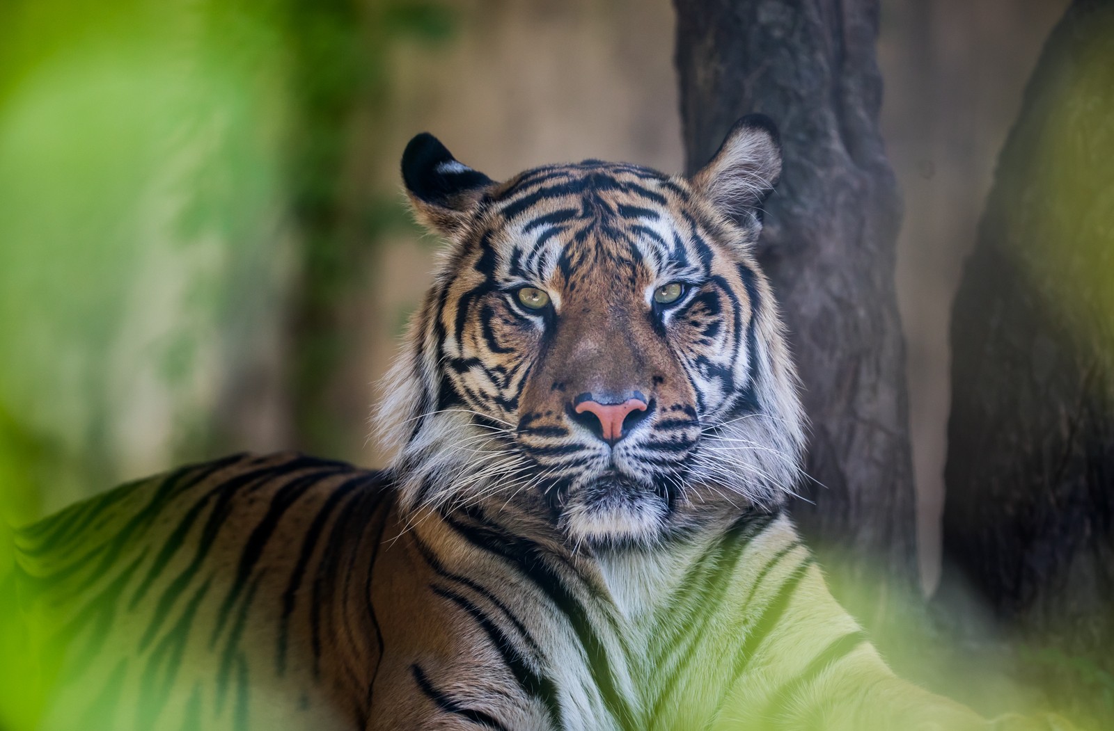 ZOO Jihlava - Ladislav Hanousek, Čechy a Morava