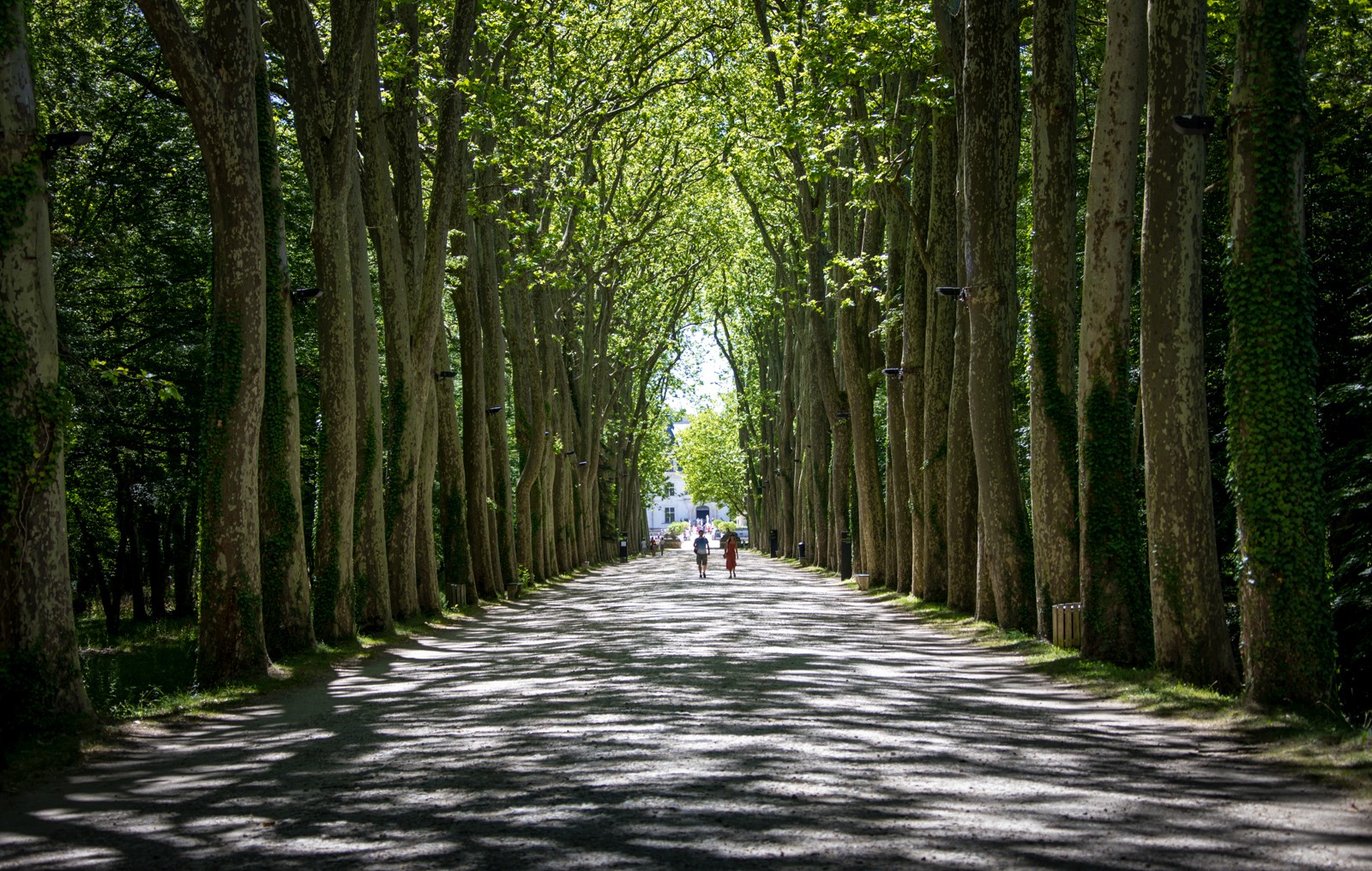 Chateau de Chenonceau - Ladislav Hanousek, Zámky na Loiře 2020