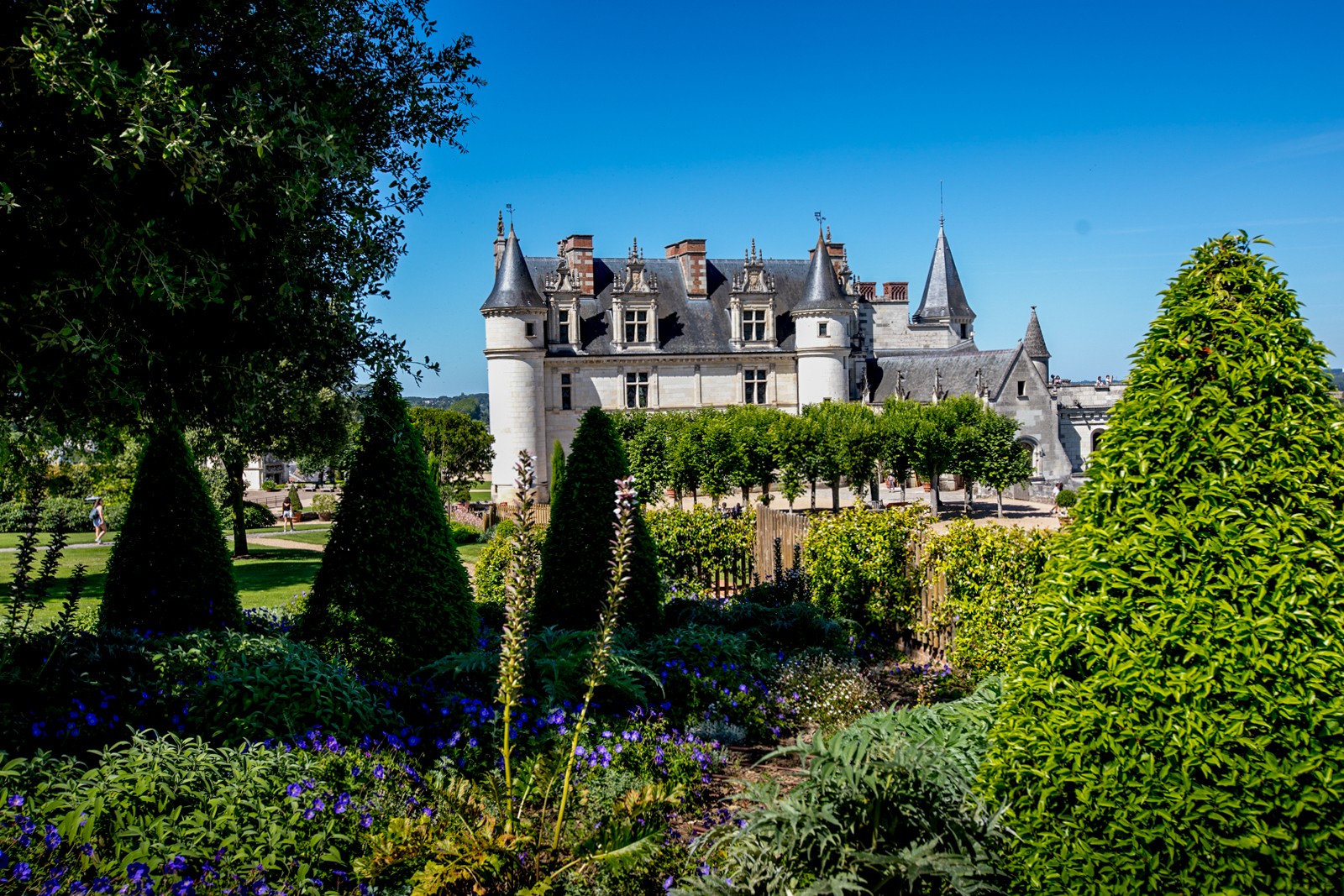 Chateau d´Amboise - Ladislav Hanousek, Zámky na Loiře 2020