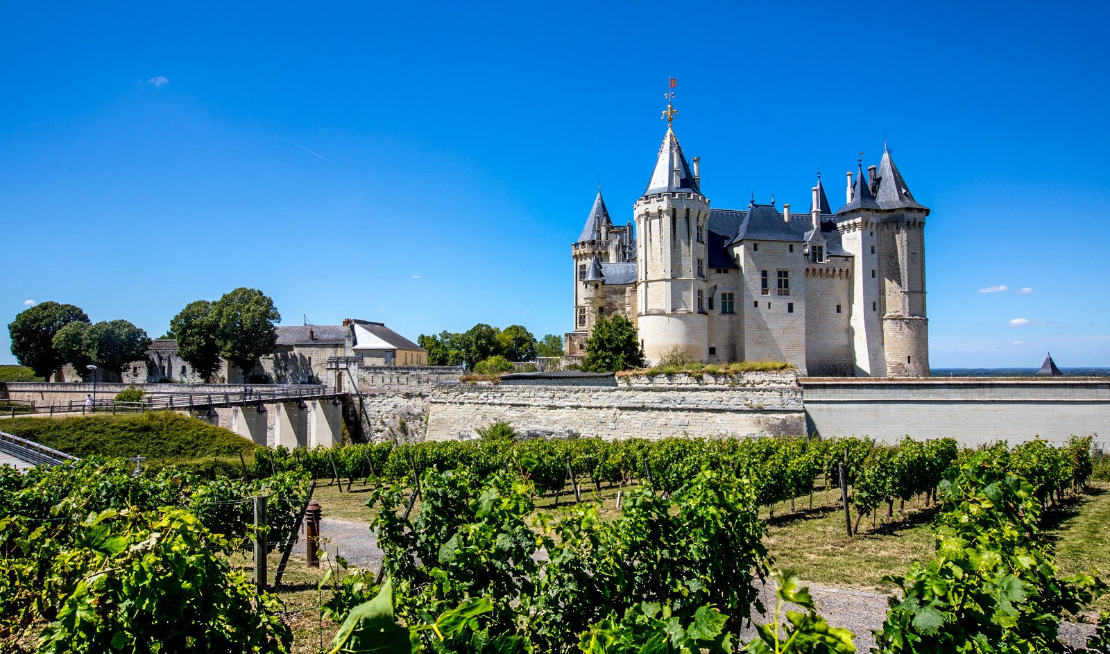 Chateau de Saumur - Ladislav Hanousek, Zámky na Loiře 2020